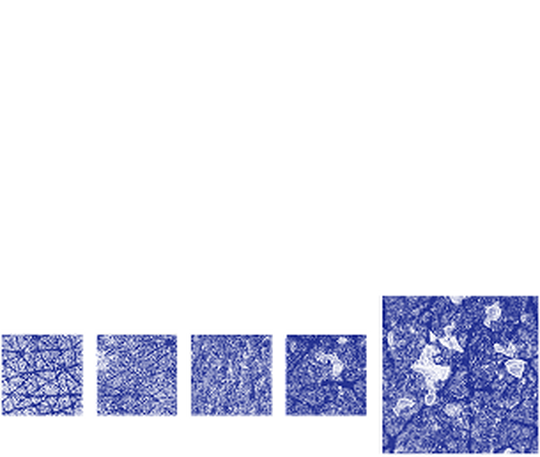 1 Your Skin is Disrupted